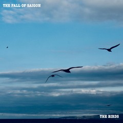The Birds