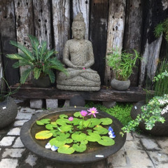 buddha (prod. 999ines)