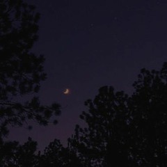 Hashim Nawaz - Wakhray Rung🌲💨