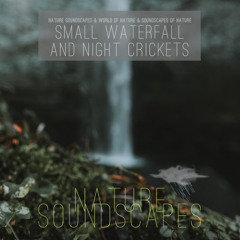 Relaxing Little Waterfall and Night Crickets Nature Sounds