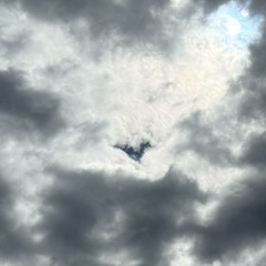 MelodyInMyHeart Feat. Violet Rose (Prod. Matti)