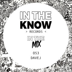 In The Mix 053 - daveJ