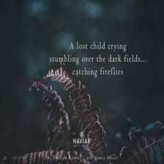 OneAmbient4 - Catching Fireflies (Naviarhaiku 373)