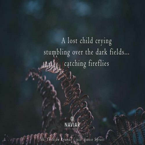 OneAmbient4 - Catching Fireflies (Naviarhaiku 373)