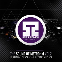 Theobald Ringer - The Robots (Original Mix) [Metrohm TSOM2 20.12]