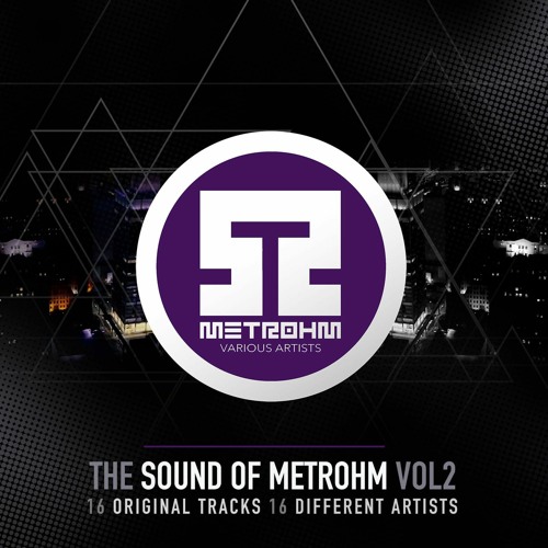 Theobald Ringer - The Robots (Original Mix) [Metrohm TSOM2 20.12]