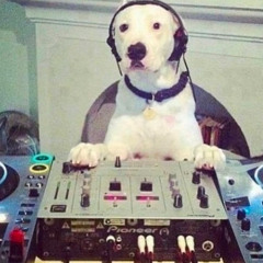 Better Off Alone At Home Making Bassline - Jenny Sparks