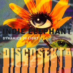 DISCOSEKTA - Adept Indie Elephant - DYNAMICS OF LIGHT