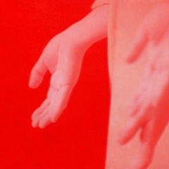 Several Wives - Mai Swarmer (from Veil on Veil)