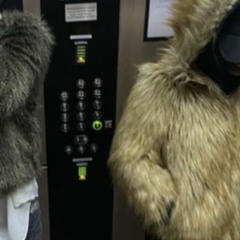 SITD V2