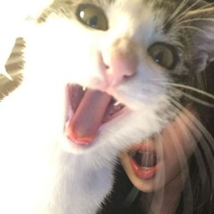 CHECK (YORI) (JARI) PROD DERMALS