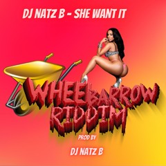 DJ NATZ B - She Want It (Wheelbarrow Riddim)