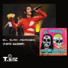 EL SAD AEROBIC (T.Hitz MashUp)[DEMO] -FULL DOWNLOAD IN DESCRIP.-