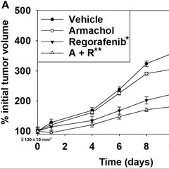 Aramchol Boosts Regorafenib Effectiveness in Gastrointestinal Tumors