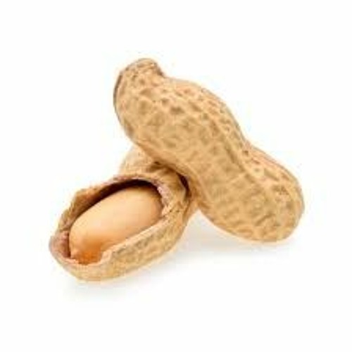 GOIN NUTS