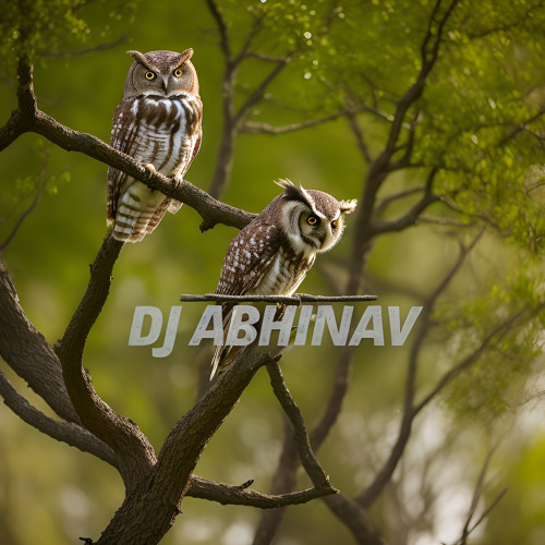 DJ Abhinav's ♉️ Drake Dynamics Dissin', DJ Radio Set @ Parwanda's Estate 🦉