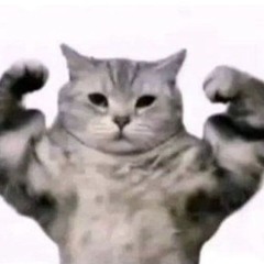 Mr. Brightside / Eurobeat Remix