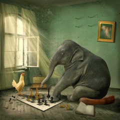 1. The Pledge/ Shake It Baby