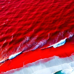 Red Tide