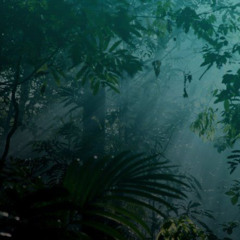 Atmosferic Jungle