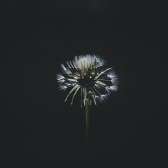 Feeling - 3