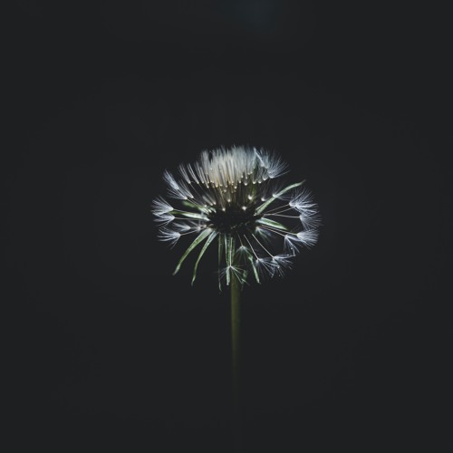 Feeling - 3