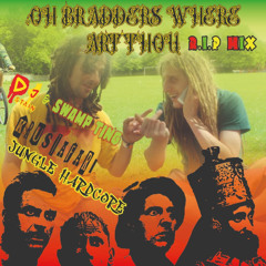 OH BRADDERS WHERE ART THOU - DJ STAIN & SWAMP TING (R.I.P MIX)