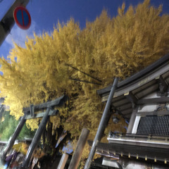 ARIGATO6 and suomisaundi
