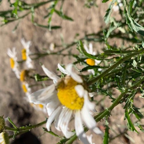 I’m Not The Same by Aaradhna (Instrumental)