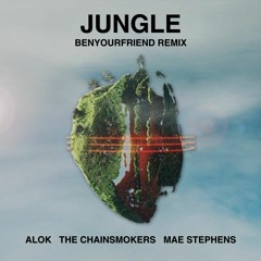 Alok, The Chainsmokers & Mae Stephens - Jungle (Benyourfriend Remix)