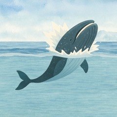 Let's Meet the Whales