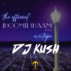 Jhoomti Shaam 2024 Official Mixtape - DJ Kush ft. Tribahl
