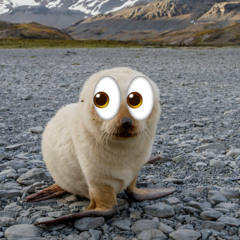 03 PornHub / Dirty Magazine - Dave Blunts Ref