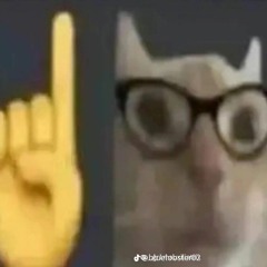 $ILENT CRACK OF DAWN