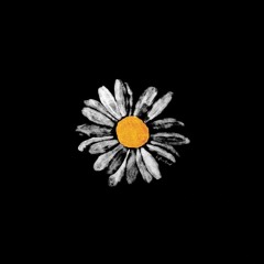 식케이 (Sik-K) - 달링 (DARLING) Cover.