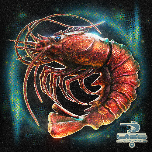 crawdad sniper - Randy & Larry