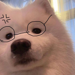 안재우 - 꽃