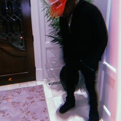 SELF REVIVE [PROD.DOGFOOD]