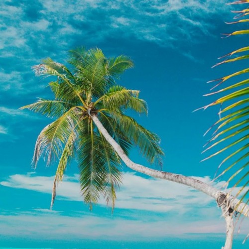 Cadwallader, studio background DOWNLOAD