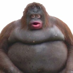 I'm A Spiritual Lyrical Miracle Individual