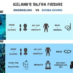 Best Difference Between Scuba Diving And Snorkeling Prices Reviews