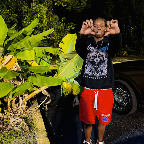 Stream Racks by Polo Youngin | Listen online for free on SoundCloud