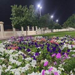 يمر أيام الزمان ويعدي !