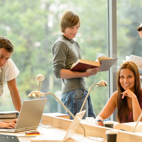 Cultivating Communication The Impact Of A Language Study Group