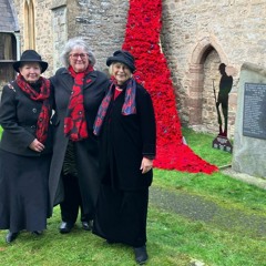 Shropshire village knits cascading poppies