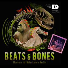 Coramøøn for Beats & Bones at Museum für Naturkunde, Berlin (22.09.2023)