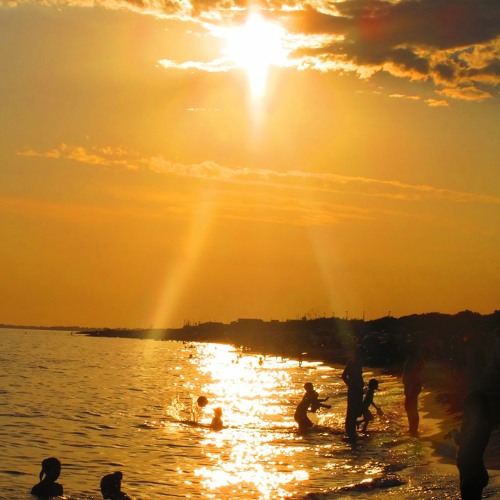 #Coke eN StoCk #iF i Knew it #Z0oM #DiGGER #STeIner #DeMetER