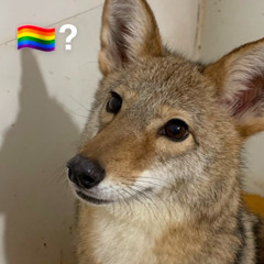 woke up and chose violence (samplicity vol3)