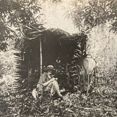 Cynthia Longfield and the St George expedition of 1924: the making of an entomologist