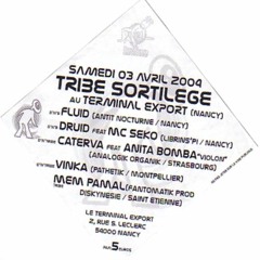 Caterva (Analogik Organik) feat. Anita Bomba (Violin) - Live @ Tribe Sortilège - Nancy (2004)